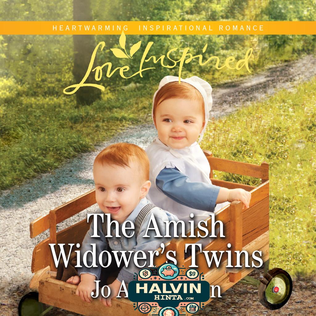 The Amish Widower's Twins