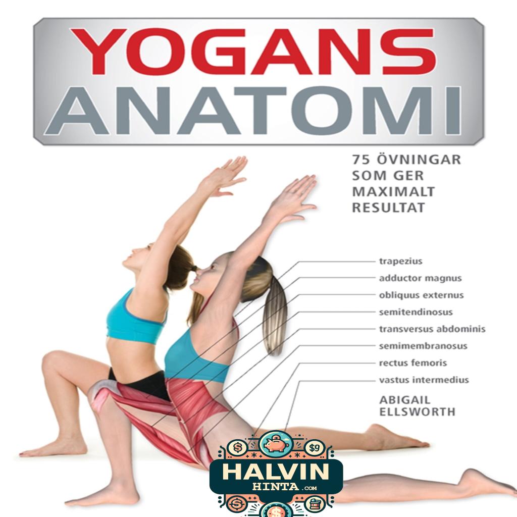 Yogans anatomi