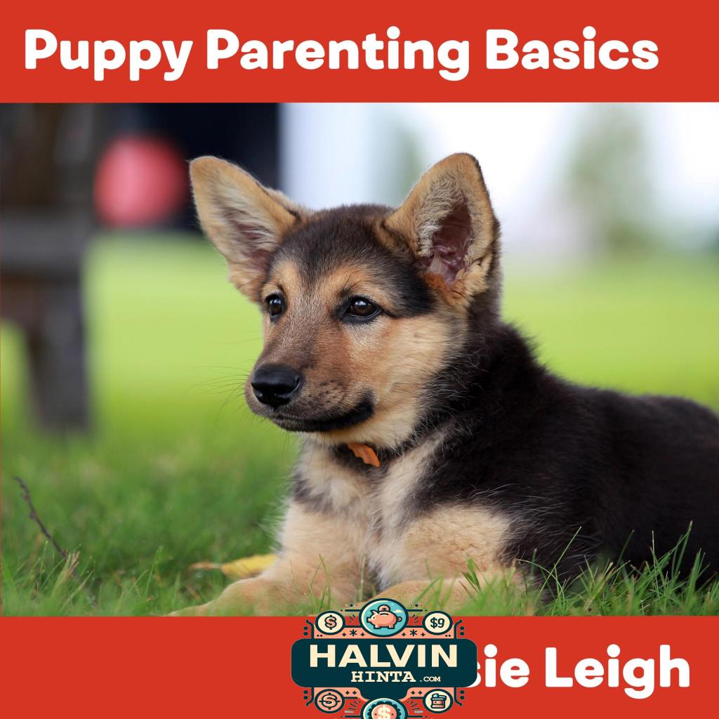 Puppy Parenting Basics