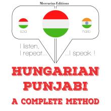 Magyar - pandzsábi: teljes módszer
