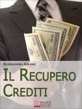 Il Recupero Crediti. Strategie per la Gestione Efficace dei Crediti non Performing. (Ebook Italiano - Anteprima Gratis)