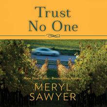 Trust No One (Meryl Sawyer)