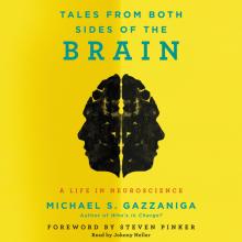 Tales from Both Sides of the Brain