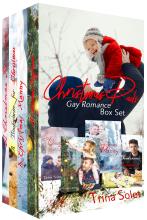 Christmas Dads (Gay Romance Box Set)